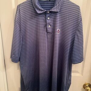 RLX Ralph Lauren Polo Blue and White Striped Shirt